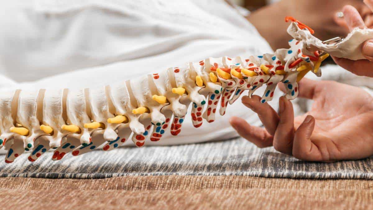 Preventative SpineMed Care: Spinal Decompression 2 Preventative SpineMed Care