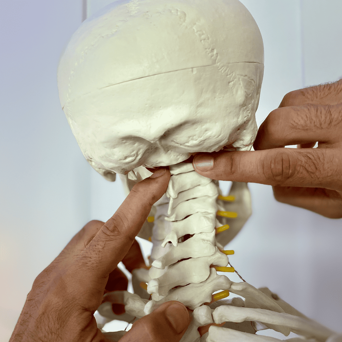 The Suboccipital Triangle